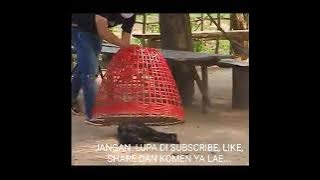 PRANK..... anjing yang lagi tidur nyenyak.....