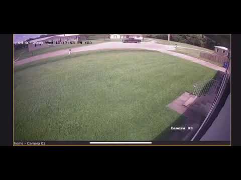 Video Surveillance Shows Man Dumping Puppy On Street camera iphone 8 plus apk