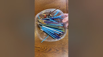 Cleaning my paint brushes. Saving dried up paint brushes! #shorts #artist #diy #howto #art #painter