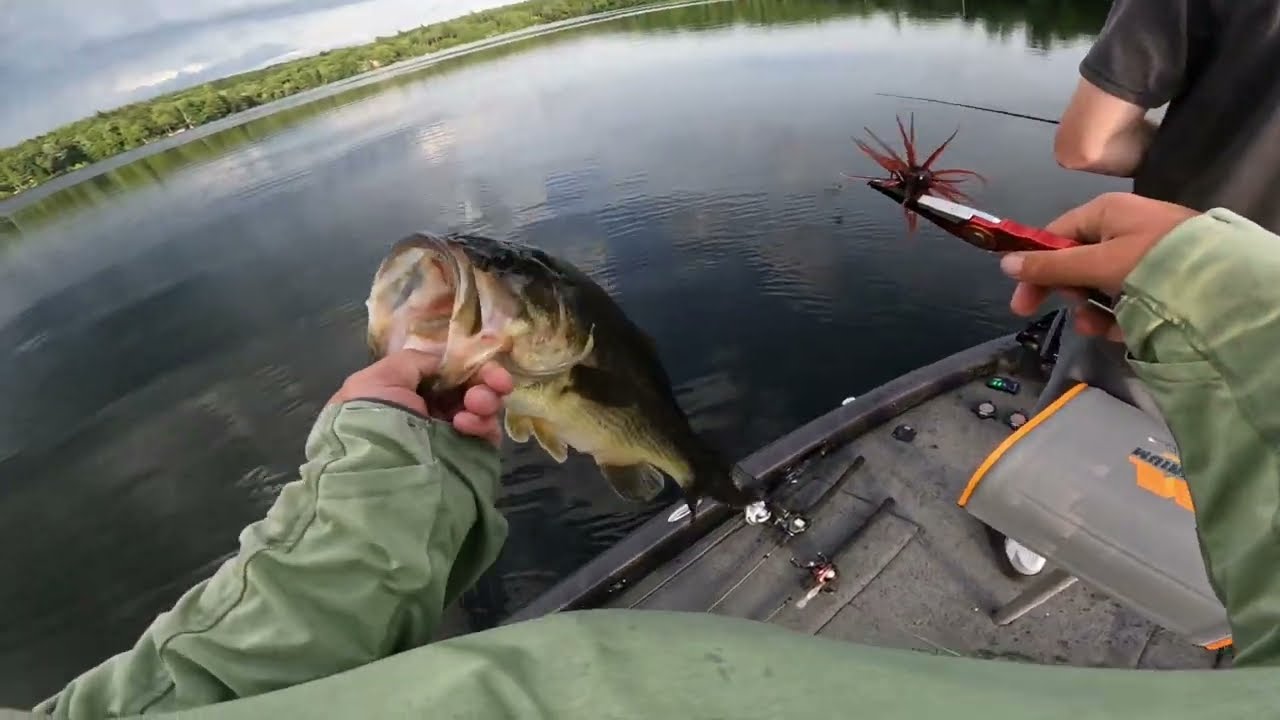 I used the hottest bait in bass fishing coike full cast