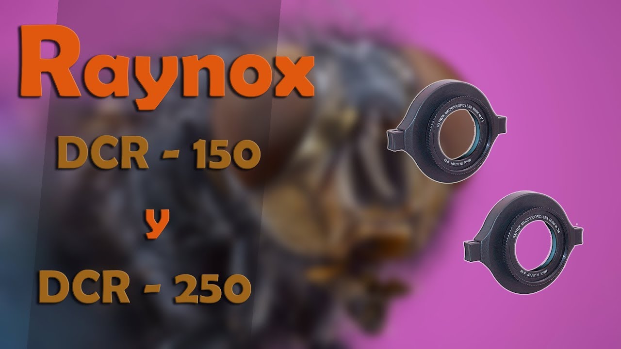 raynox-dcr-150-y-dcr-250-youtube