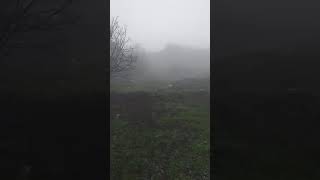 Dönüb Kəndə Gəlin Kənd Uşaqları