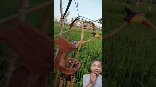 Cara agar burung pipit tidak makan padi di sawah #pertaniankreatif #birds #inovasipertanian