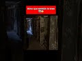 #viral top #paranormal #terror #viraltop  