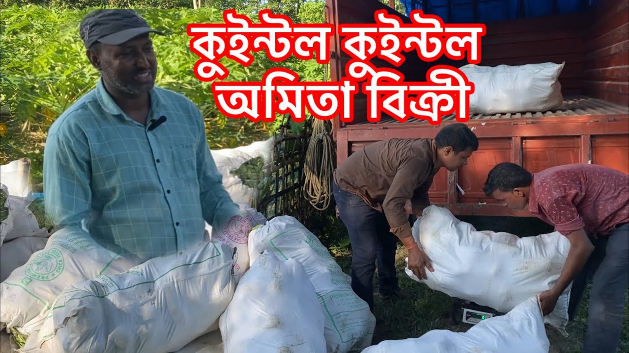 কুইন্টল কুইন্টল অমিতা বিক্ৰী ॥ অমিতা বিক্ৰী কৰি কিমান টকা উপাৰ্জন হল চাওক😲😲॥