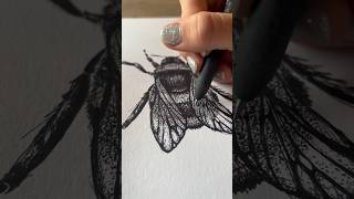 Pen doodles #nashville #artist #creativeprocess #tennessee #art #pen #drawing #creative #doodle #tn