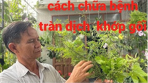 5 bài thuốc điều trị tràn dịch khớp gối cực kì hiệu quả