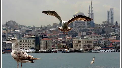 Farid Farjad istanbul