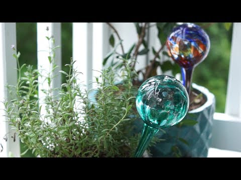 Video: Záhradné glóbusy alebo gule – naučte sa používať záhradné glóbusy