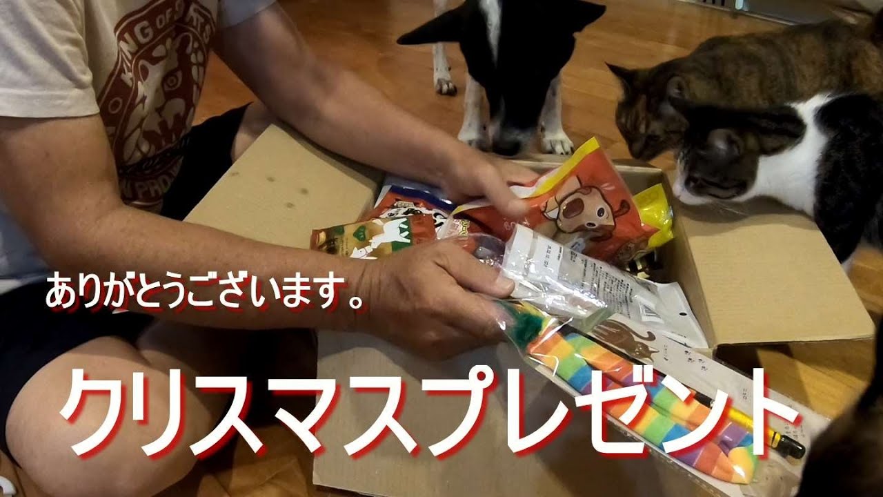 幾つになっても嬉しいプレゼント(笑) - YouTube
