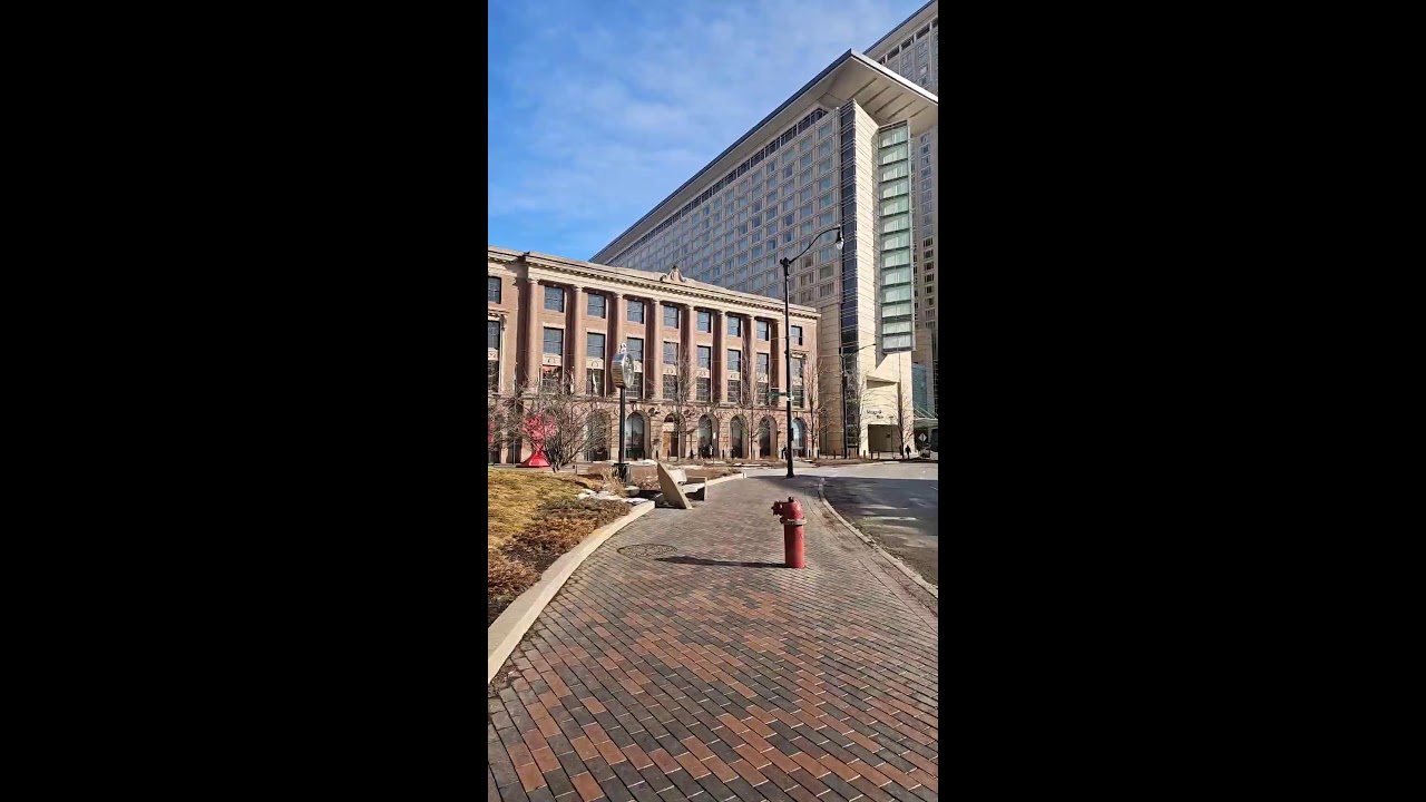 Chicago Streetwalking Noon February 10, 2026