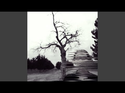 Broken Harvest - Madison Cunningham