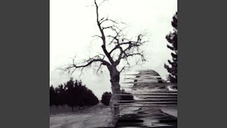 Broken Harvest