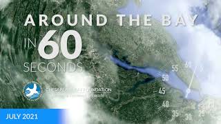 Around the Bay in 60 Seconds—July 2021