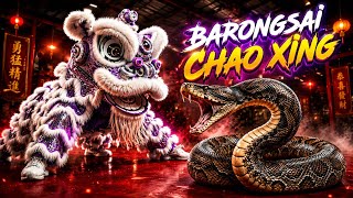 Atraksi Barongsai CHAO XING Lion Dance Competition Yang Sen Bio Cup 4 múa lân 舞獅 cny