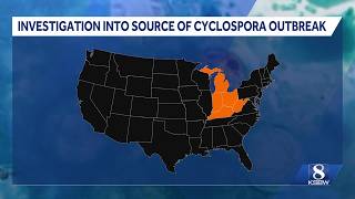 Taylor Farms pulls central Mexico iceberg lettuce as Cyclospora outbreak investigation continues