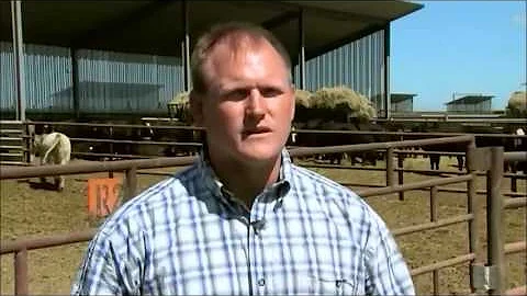 USDA Low Stress Handling (C2C)