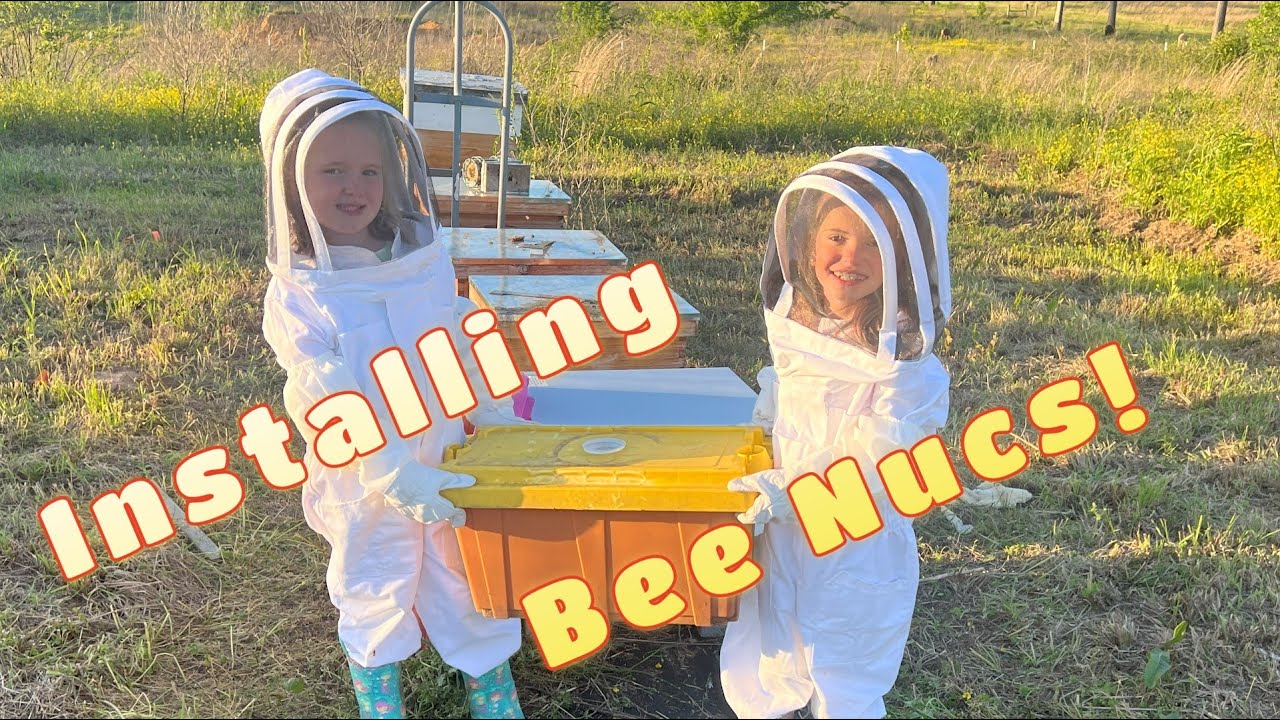 How to install a Honey Bee Nuc. YouTube