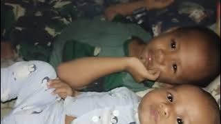 Abng alul n adek shazfa 🥰3112025