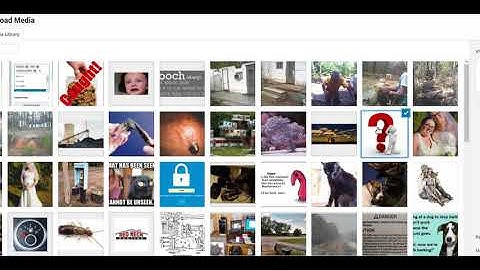 Adding an image with text in Gutenberg