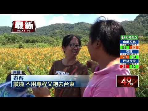 南投粉黛草人潮擠爆！頭社花海「搶連假商機」