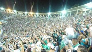 Eu canto eu sou Palmeiras até morrer