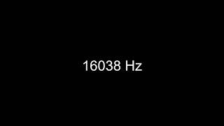 How 16038 Hz Sounds to the Human Ear
