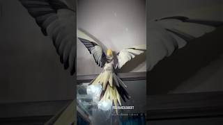 Download Lagu Bird of Prey or Cockatiel? You Be The Judge | Loubert's Stunning Wingspan | Tiel Named Loubert MP3