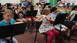 Sincere rough draft Audio on Music in PBS