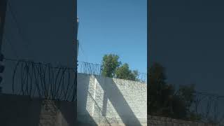 Download Lagu #arabic #islami MP3 Download Lagu #arabic #islami MP3