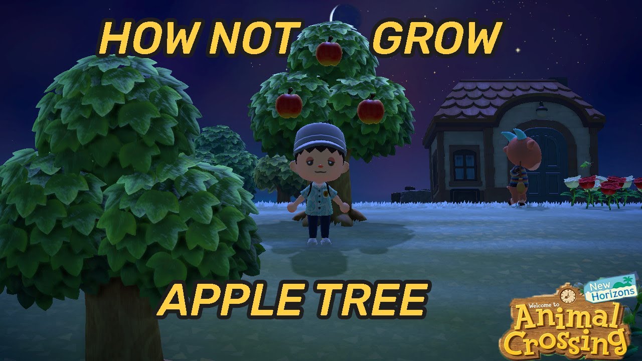 HOW NOT to grow an APPLE TREE Animal Crossing New Horizons YouTube