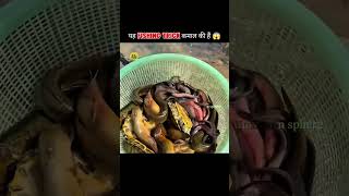 Smart Fishing Trap 🎣 #shorts #thefact #interesting #amazing #trendingvideo #viralshorts #shortsfeed