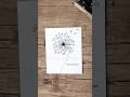 How to Draw a Dandelion Flower Step by Step | Easy Pencil Drawing Tutorial