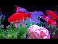 Relaxing Music - Deep Ocean 3