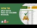 How to Separate Data Column Wise | Split Data Text to Column | Excel Tips & Tricks |Excel Tutorial