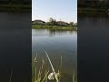 #икряное#астрахань#хурдун#волга#поклёвка#рыбалка#улов#fish#fishing#shorts#shortsvideo