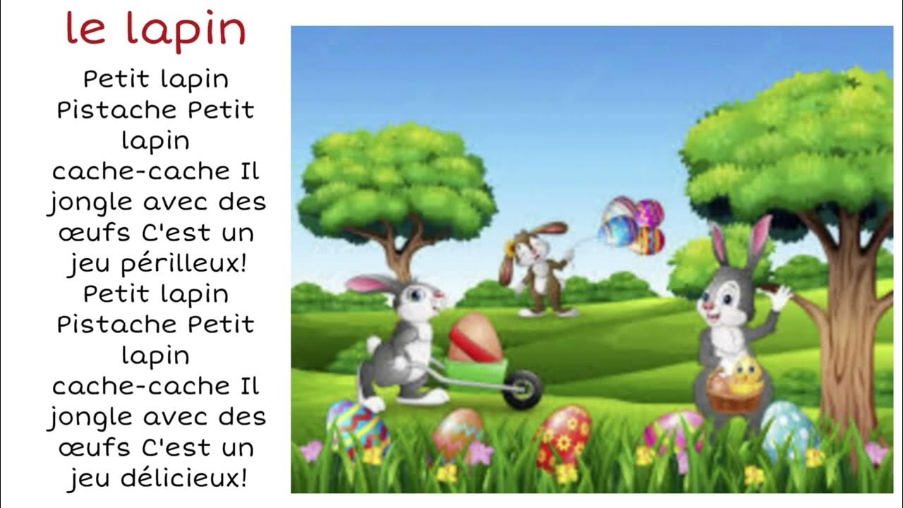 Cache-cache Petit Lapin - Cache Cache