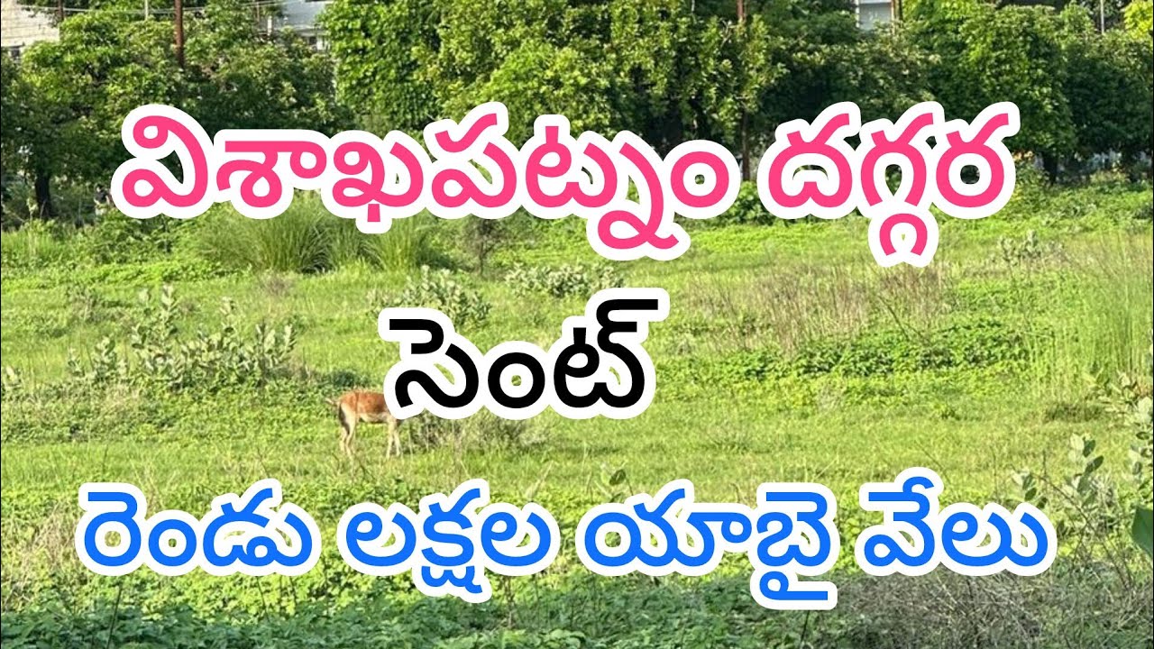 Low Price Hose Site For Sale | Vizag Low Cost House Site For Sale | Vizag Plots