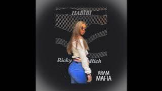 Ricky Rich & ARAM Mafia - Habibi