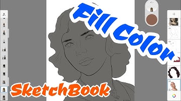 How to Fill Color in Autodesk SketchBook App