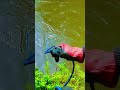 We Went Magnet Fishing All Day And Found..#magnetism #magnet #viralvideo #fishing