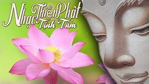 Nhạc Thiền Tịnh Tâm - Nhạc Thiền Phật Giáo Chọn Lọc Thư Giản Mới Nhất