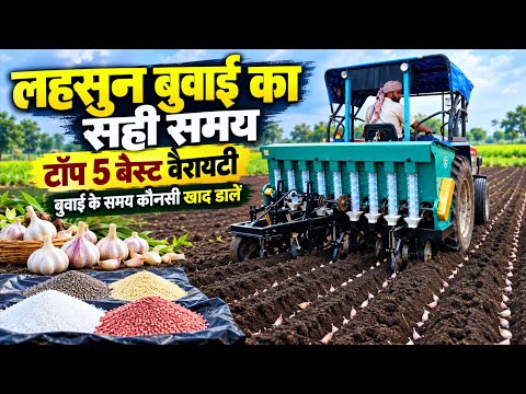 लहसुन की खेती करने का सही समय⏰Lahsun top 5 best variety🌱लहसुन बुवाई के समय कौन सी खाद डालें