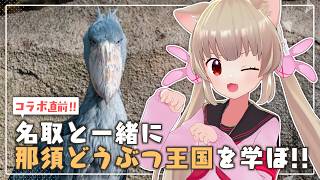 コラボ直前！名取と那須どうぶつ王国を学ぼう！