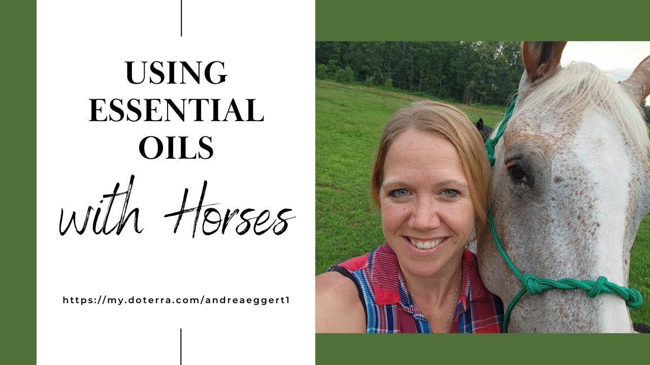 Using Essential Oils with Horses - YouTube