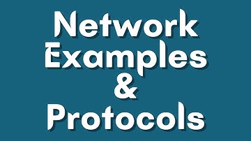 Network Examples | Network Protocols | Types of Network Protocols | 12th Computer Applications