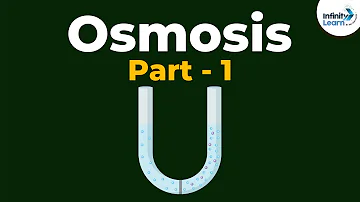 Comment fonctionne Osmozis ?