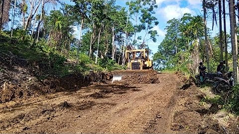 Excellent Widening plantation roads using heavy equipment CAT BULLDOZER D6R XL Works very fast