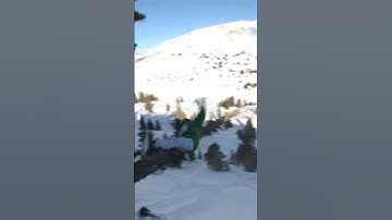 Massive Log Jib Snowboard Crash - Insane Slide Gone Wrong!