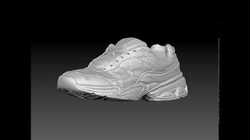 Starter Shoe 3D Scan